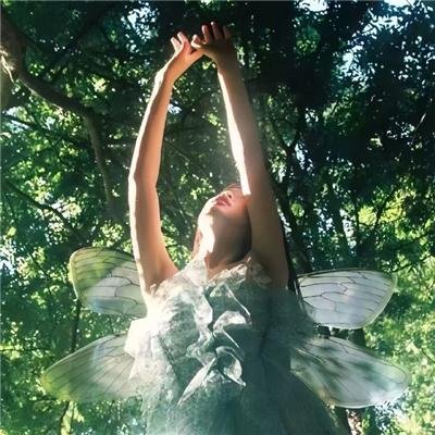 你是我的乍见之欢