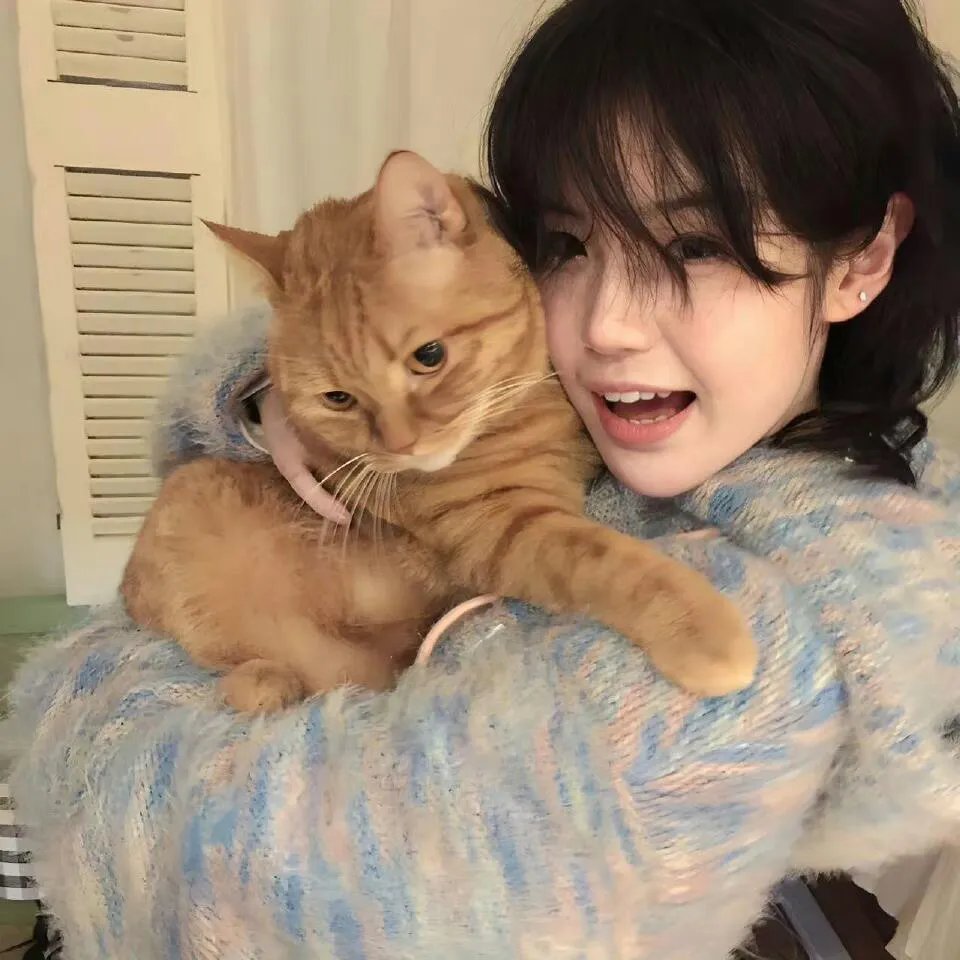 泰版放羊的星星国语